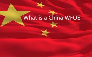 Mikä on WFOE Kiinassa ja miksi saada paikallista apua helpottamaan asioita?